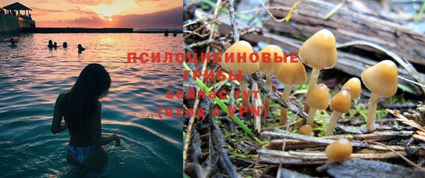 каннабис Алексеевка