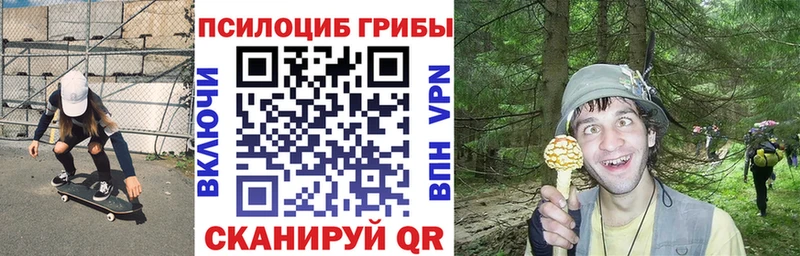 hydra ONION  где найти наркотики  Курганинск  Галлюциногенные грибы прущие грибы 